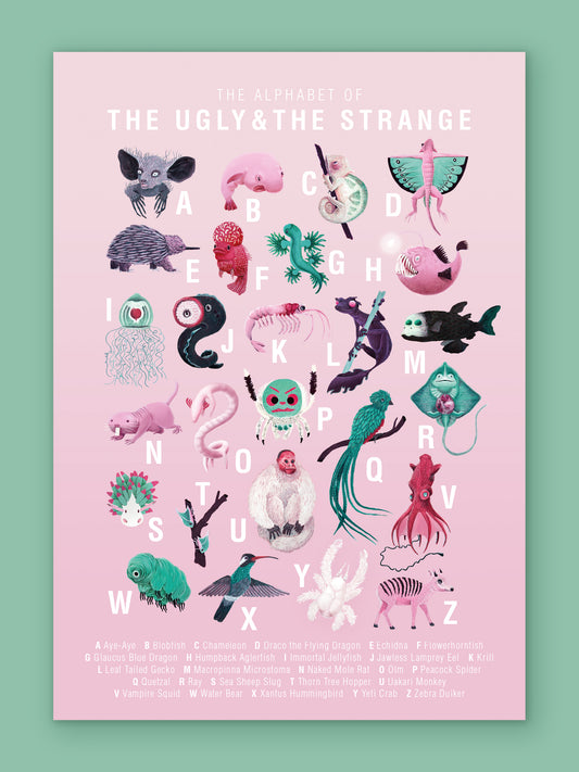 ABC Kinderzimmer — Poster